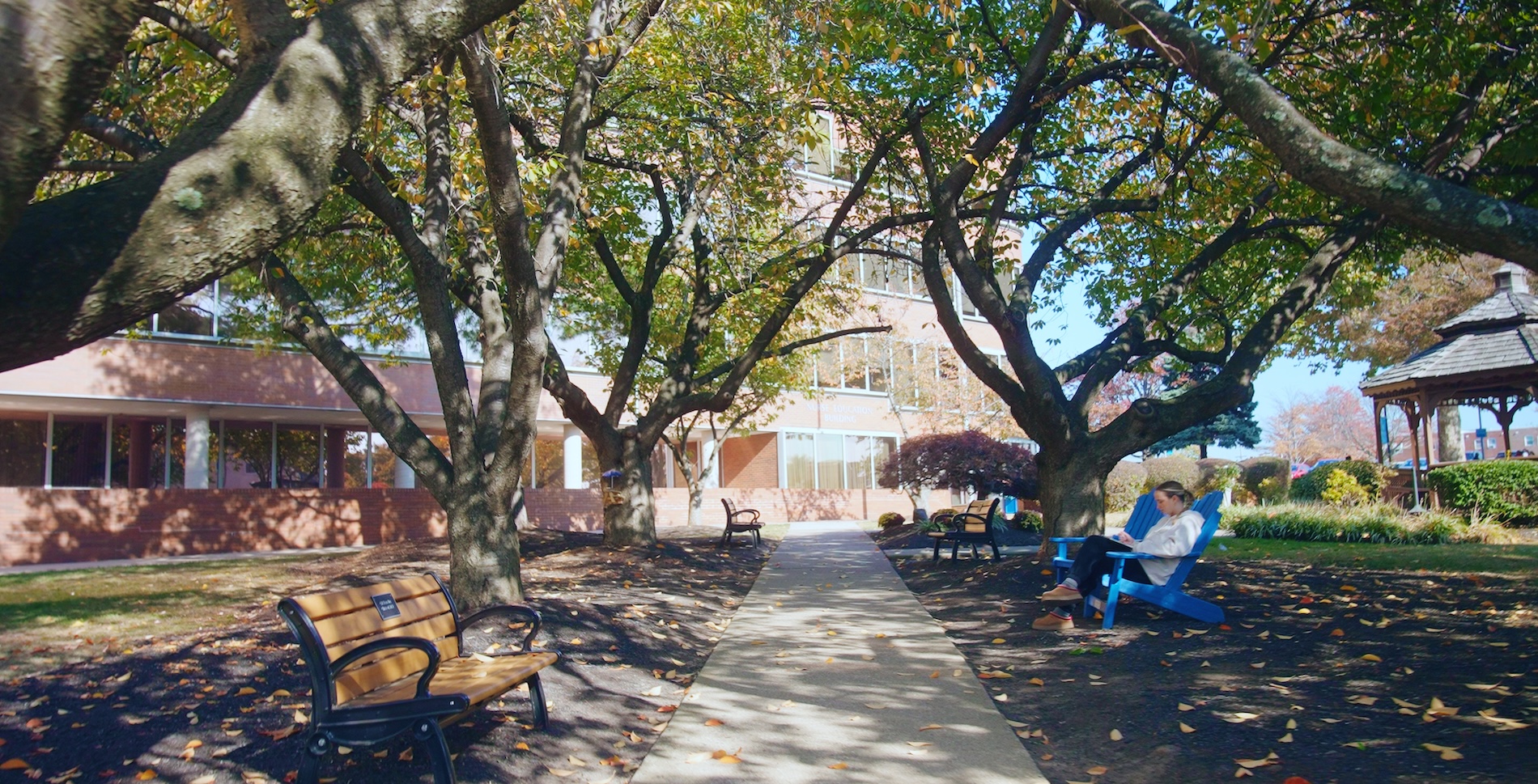 A tree-lined path on campus with benches and a student sitting and reading