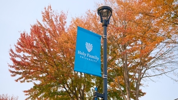 A Holy Family University flag on a light pole with a large tree in the background