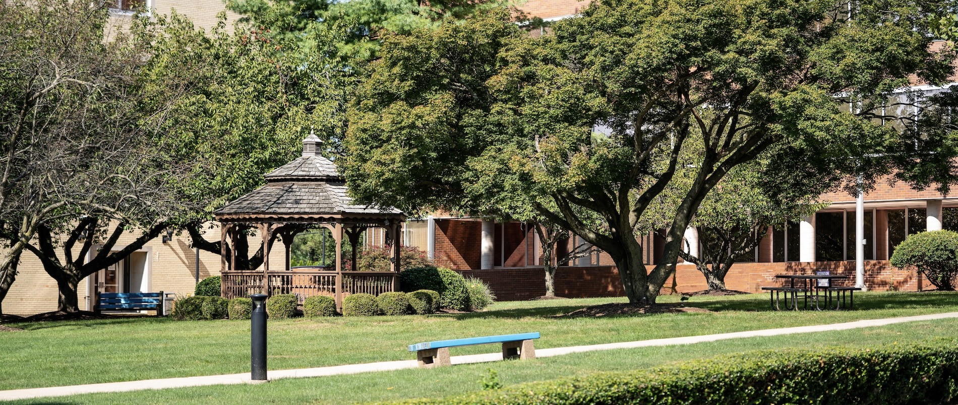 A path and the gazebo on the Philadelphia campus shown from a distance