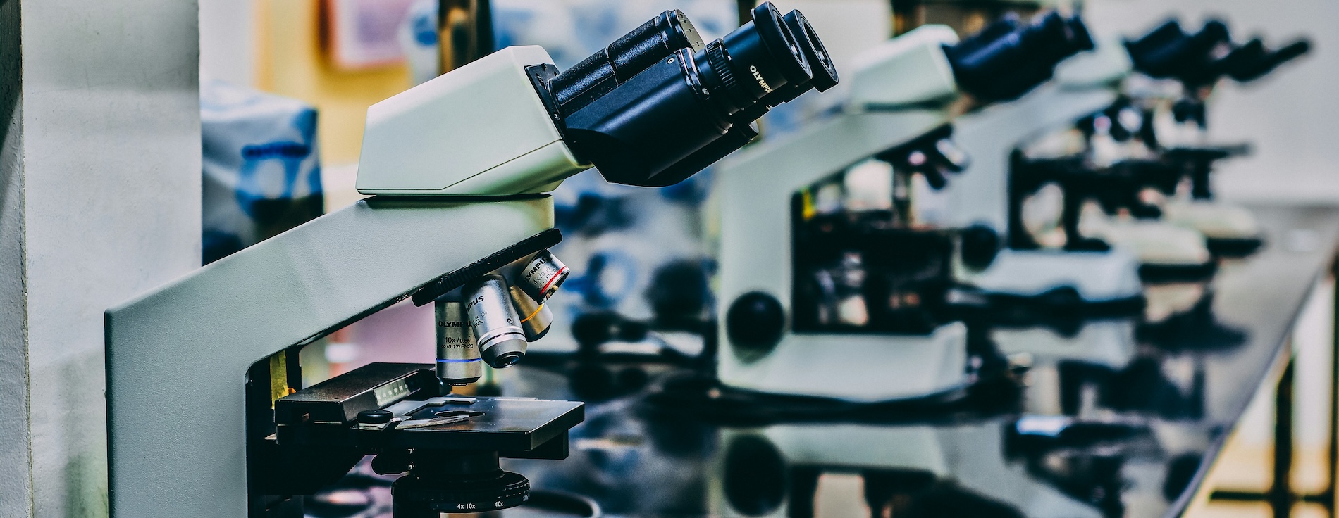 A lab room with a series of microscopes along the lab table