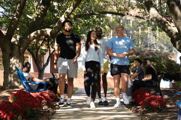 Four students walking down a tree-lined path on campus while other students sit in benches along the path