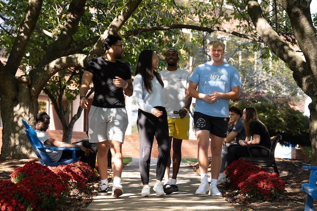 HFU students walking on a path through a tree grove on campus